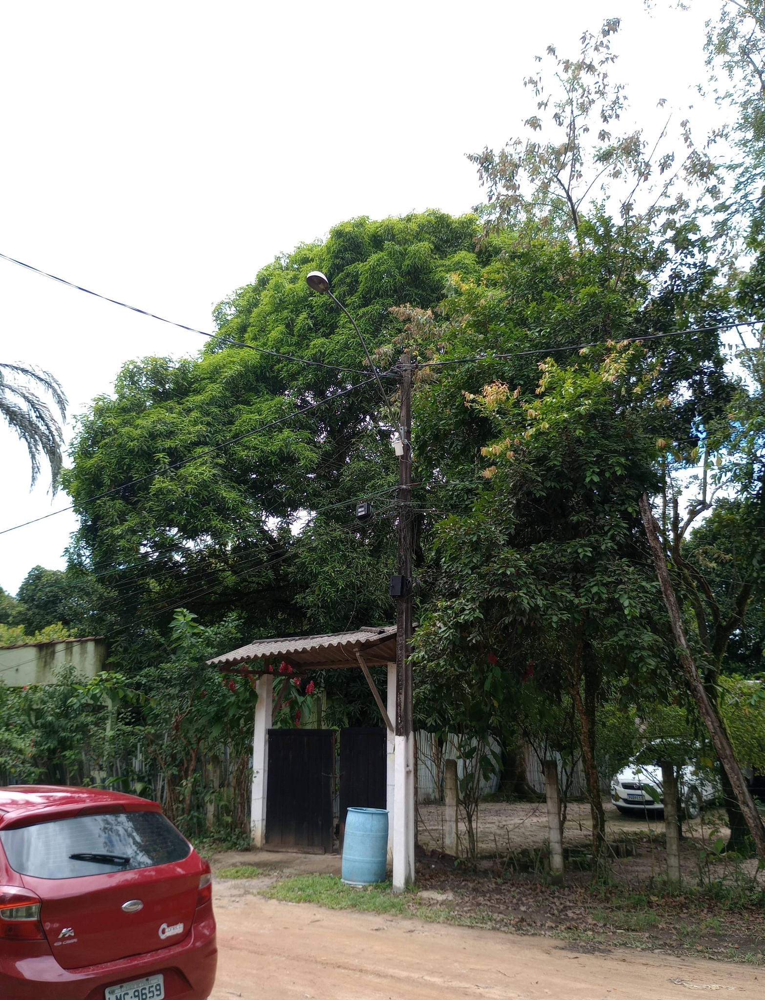 Descaso e Escuridão: Moradores de Guapimirim denunciam abandono da Enel