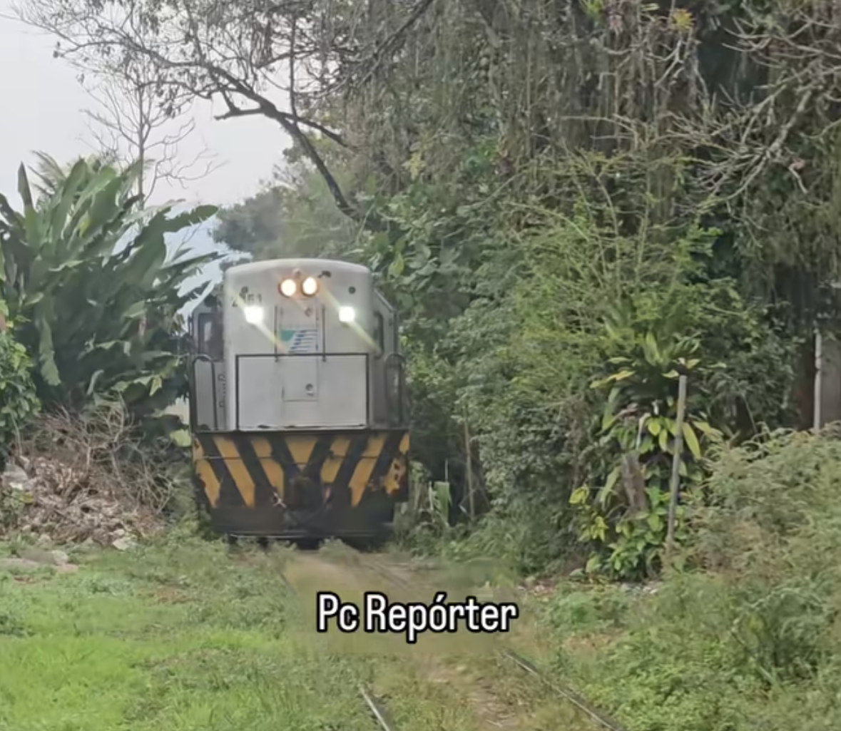 Incidente próximo à Estação Bananal reacende debate sobre condições do Ramal Guapimirim